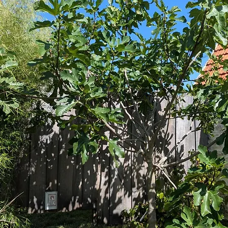 Nyaraló Charming House With Garden Close To Monet *