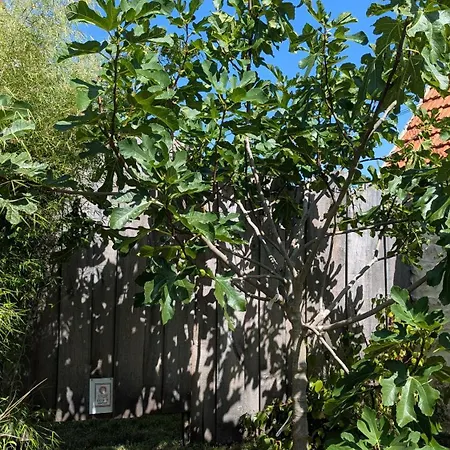 Maison Coquelicot Ferienhaus *