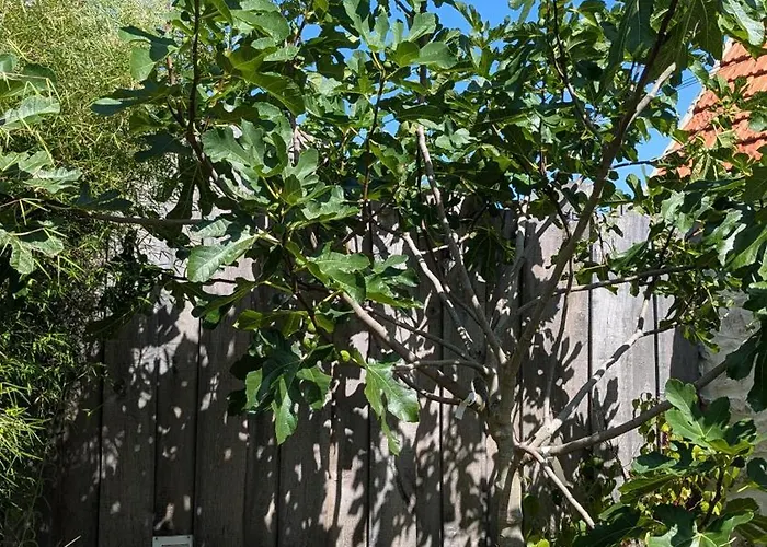 度假居 Maison Coquelicot *